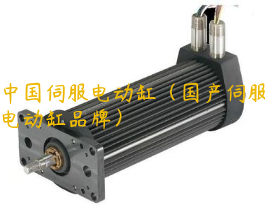 中国伺服电动缸（国产伺服电动缸品牌）
