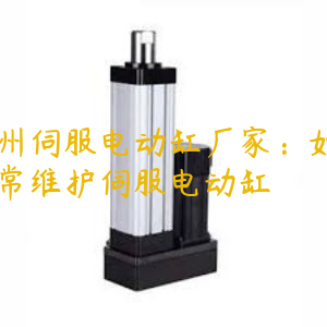 广州伺服电动缸厂家：如何日常维护伺服电动缸