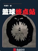 小说《篮球终点站完整版免费》封面