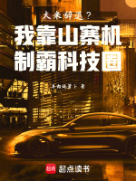 小说《大米辞退？我靠山寨机制霸科技圈》封面