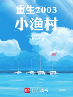 小说《重生2003小渔村无防盗》封面