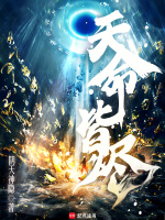 小说《天命皆烬TXT下载》封面