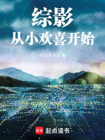 小说《综影从小欢喜开始李平安》封面