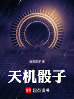 小说《天机骰子TXT下载》封面