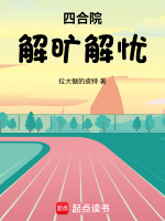 小说《四合院:解旷解忧篱笆好文学》封面