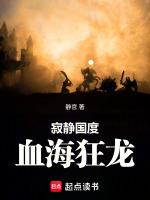 小说《寂静国度:血海狂龙》封面