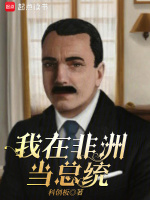 小说《重生之我在非洲当总统》封面